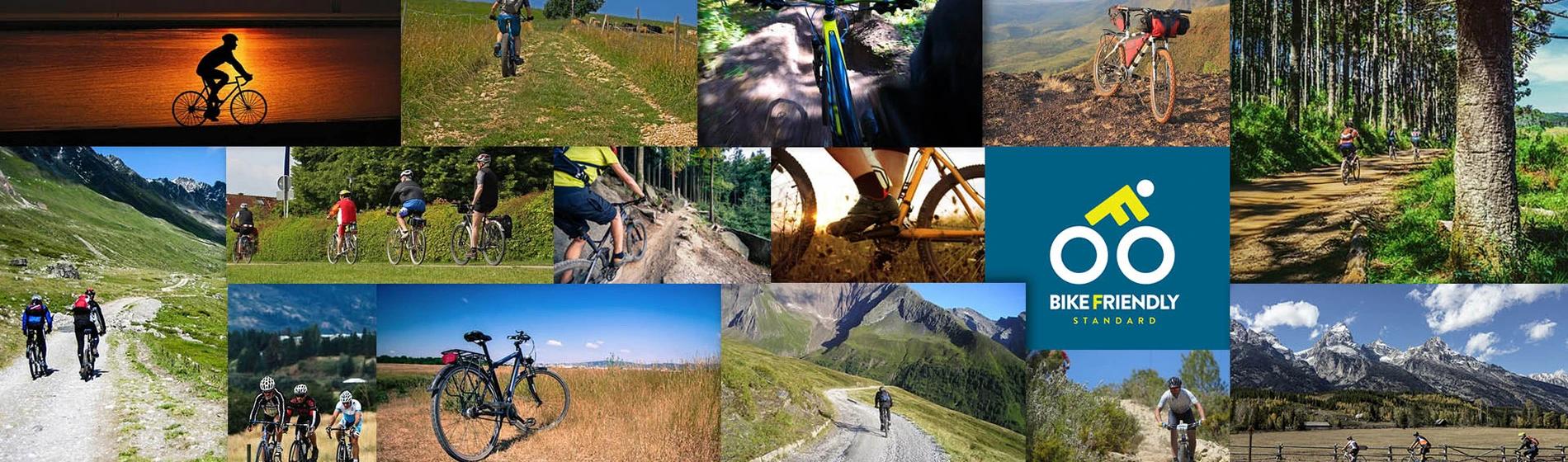 Bike Friendly Standard