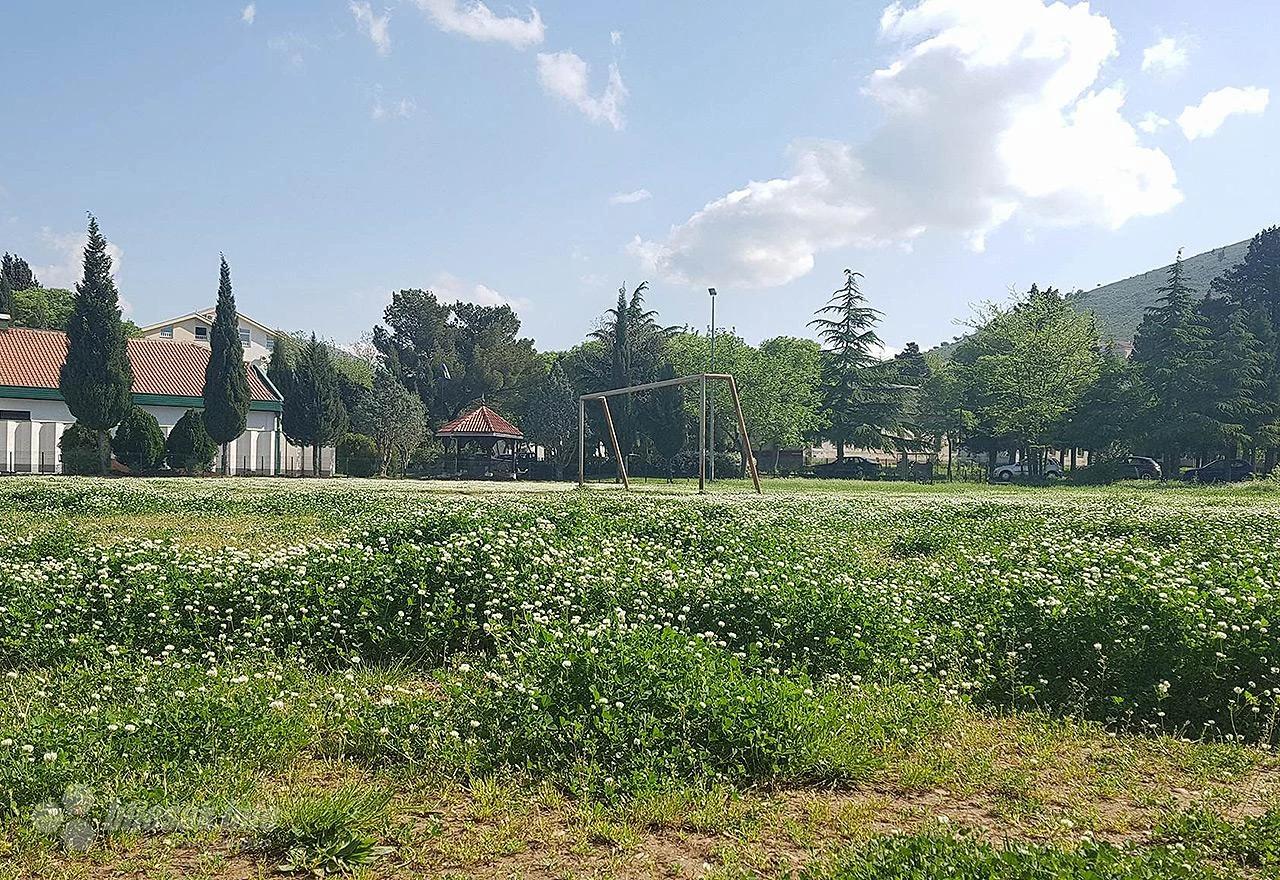Stadion u travi