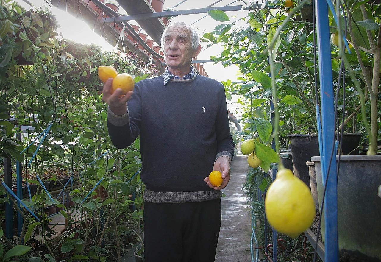 Mile Popović
