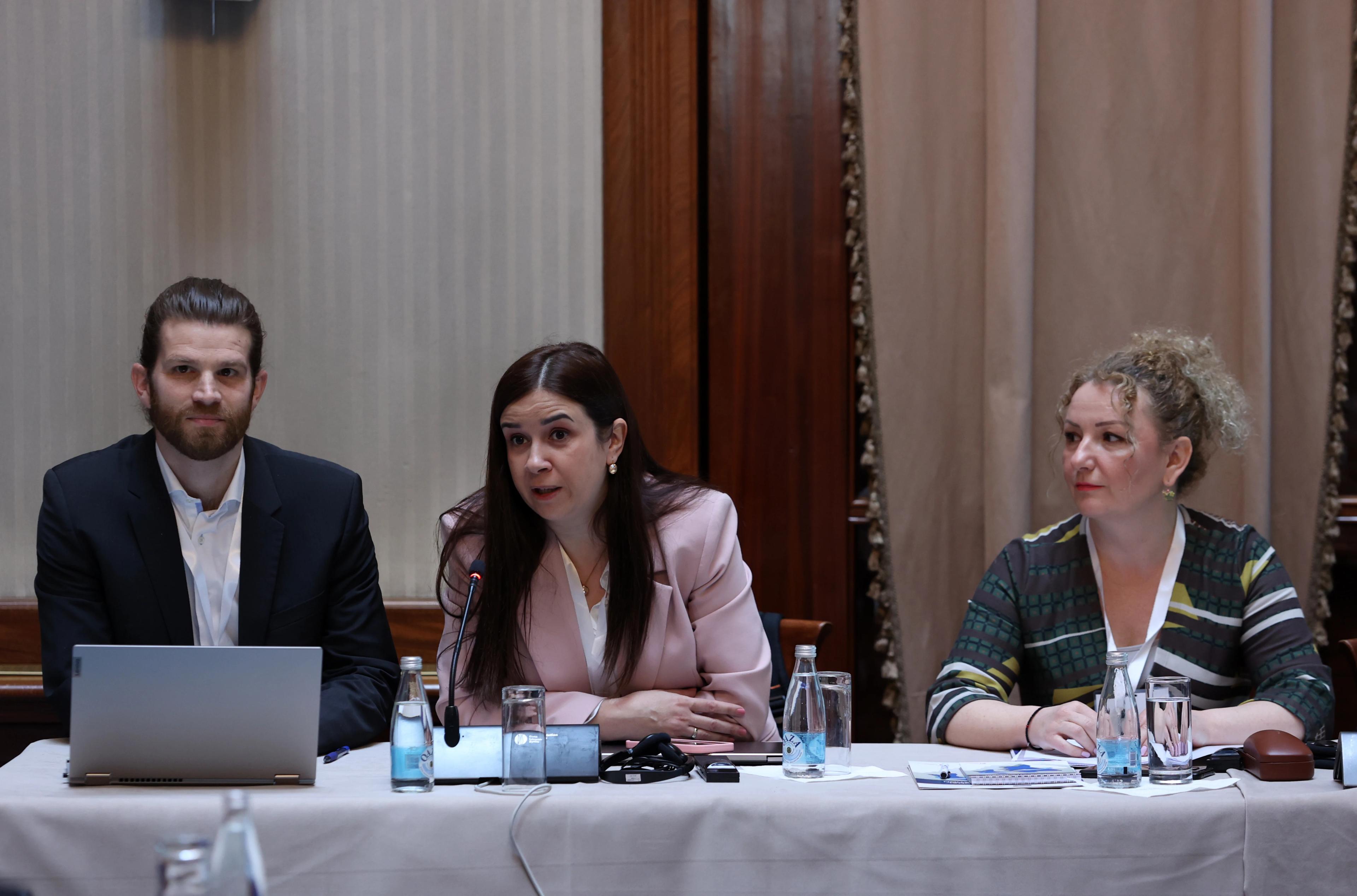 Carine i poštanski operateri uspostavljaju elektronsko dijeljenje informacija kako bi ubrzali procedure isporuke u okviru CEFTE