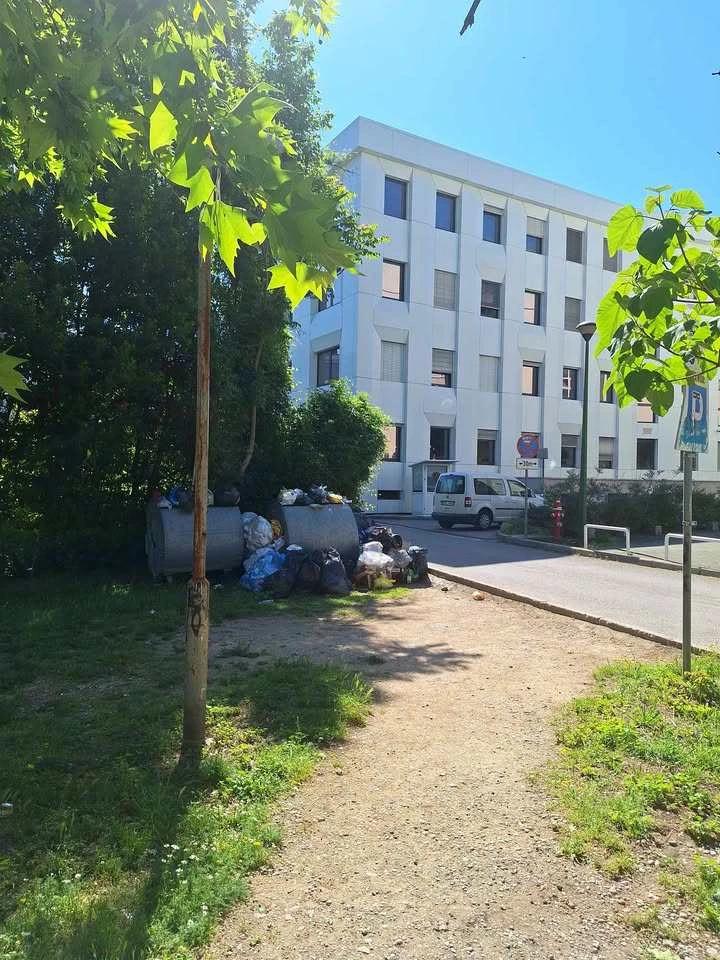 Kontejner u parku