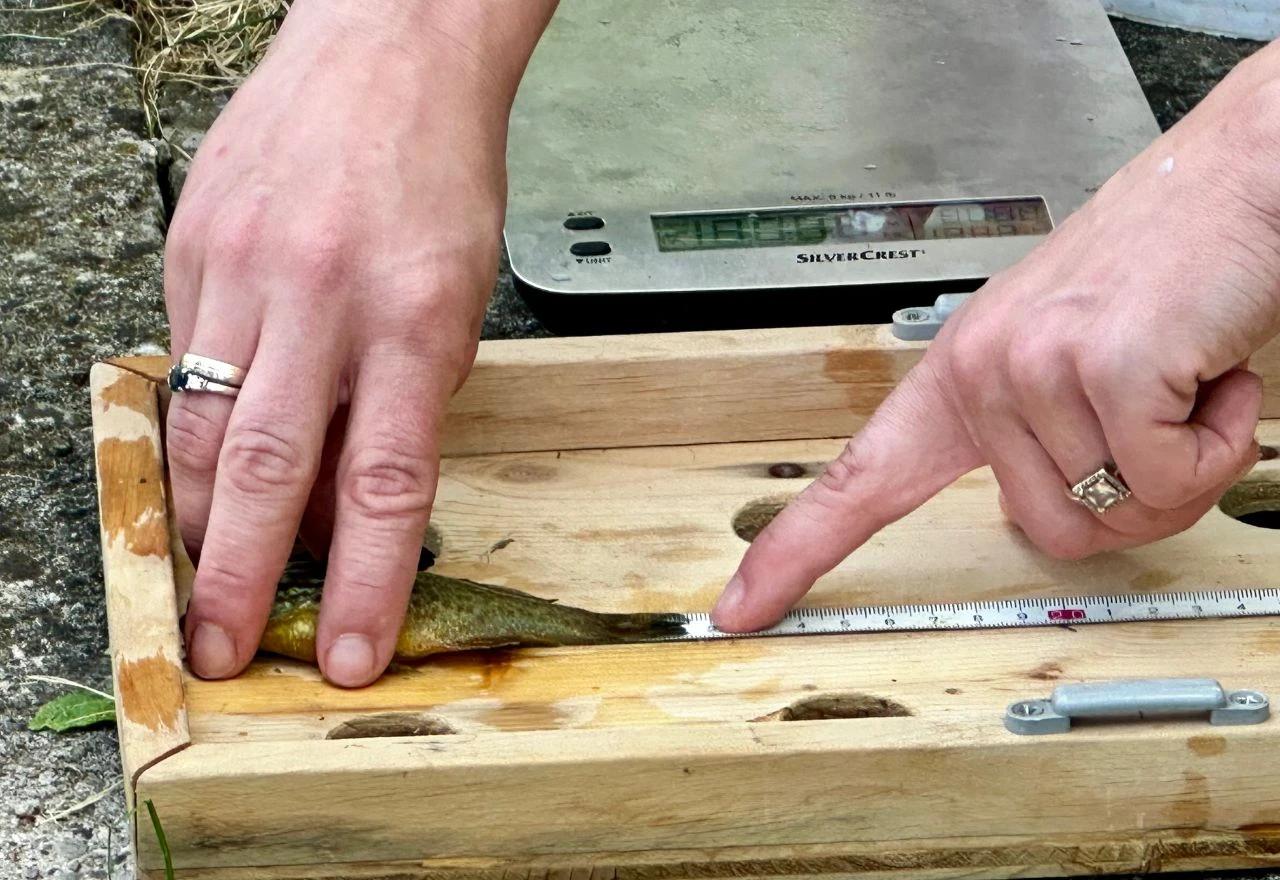 Projekt praćenja biološke raznolikosti