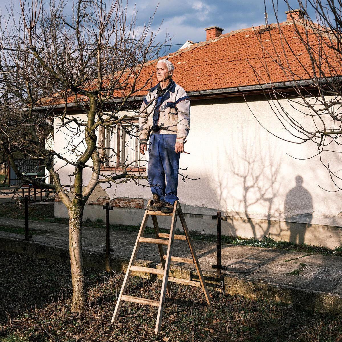 Mitar Simikić