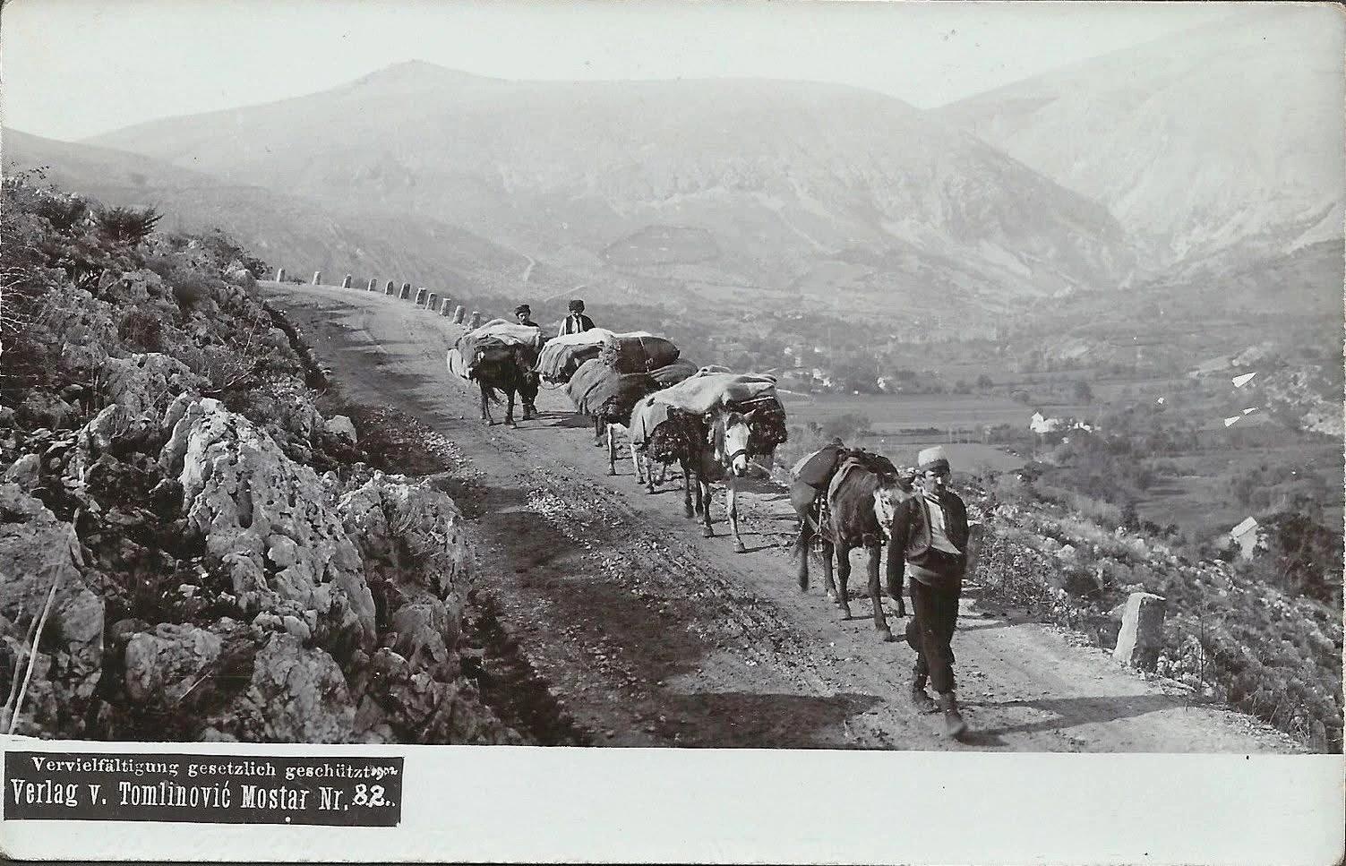 Žovnica 1903. godine