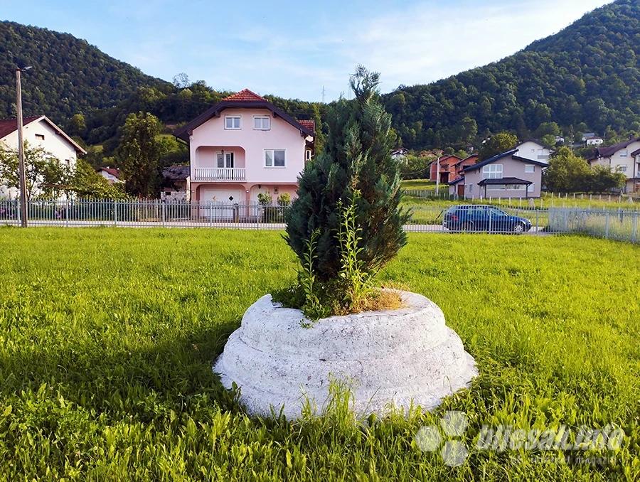 Iz stare šerefe raste novi život