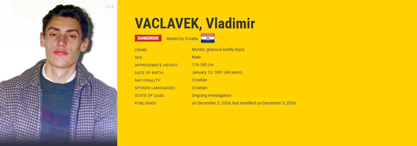 Vladimir Vaclavek