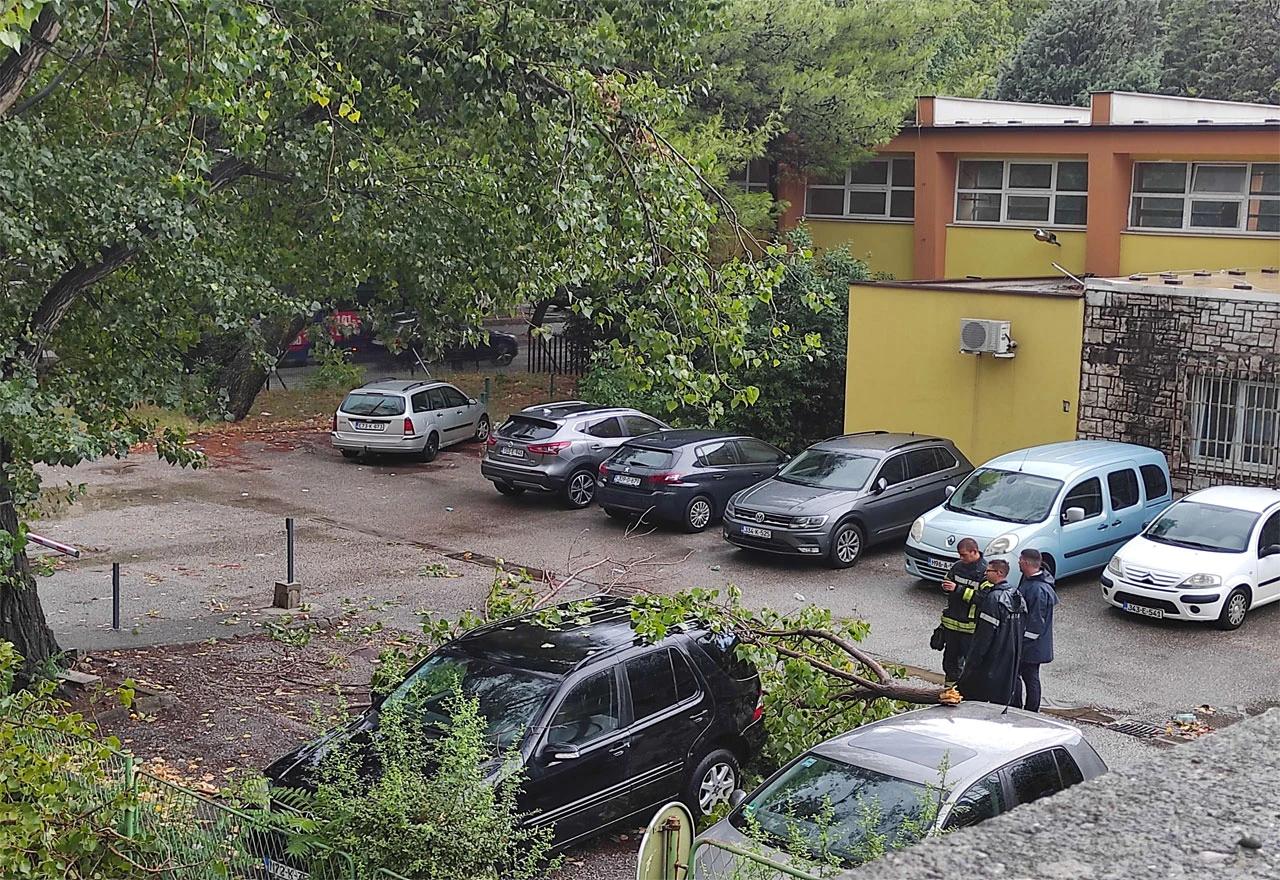 Jak pljusak u Mostaru oborio stablo na vozila