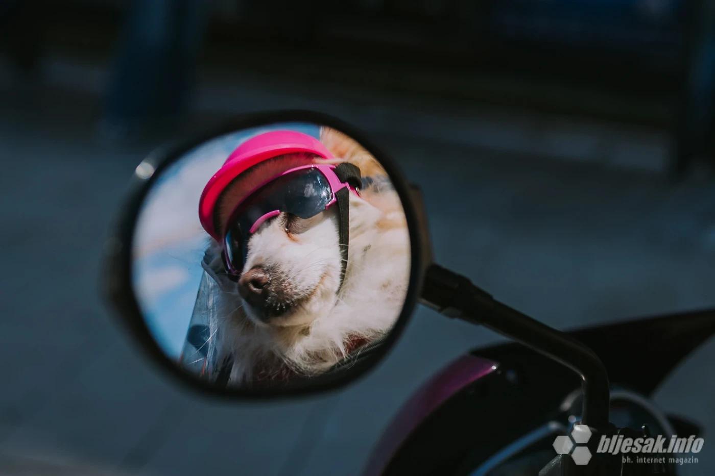 Puggy na motoru