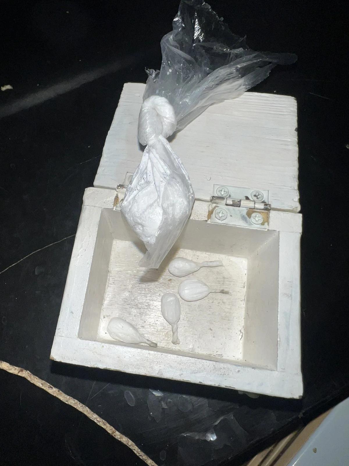 Zaplijenjena droga