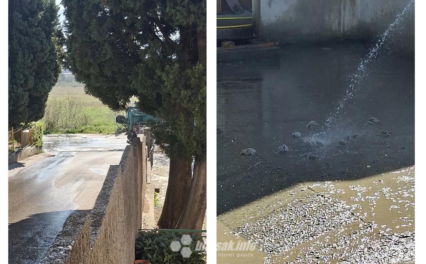 Fekalije u Rodoču