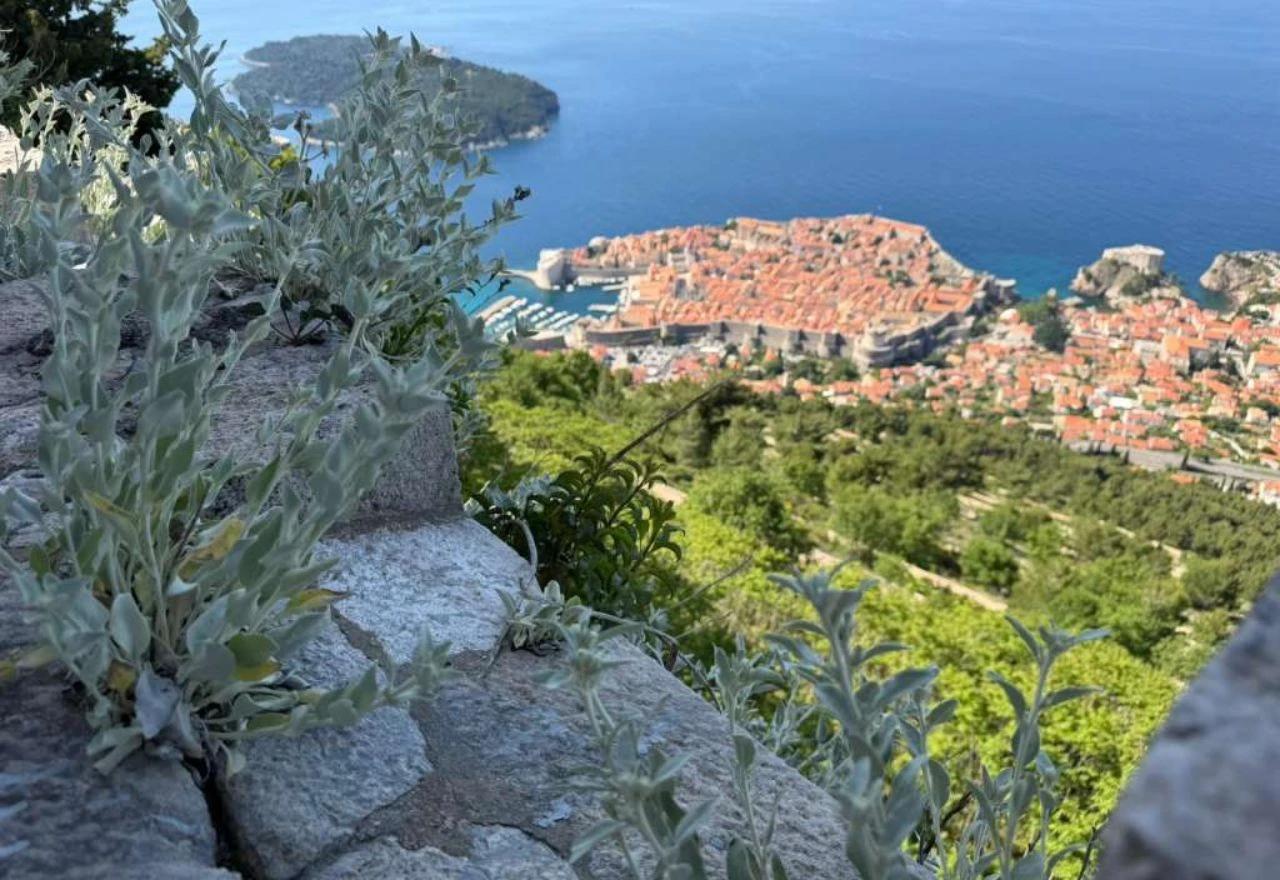 Hodočasnička ruta Camino Dubrovnik – Put svjetla svetog Jakova