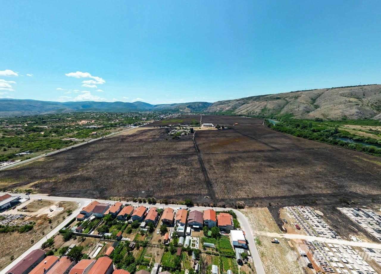 Nakon punih devet sati borbe s vatrom, u zasadima vinove loze ostali su pepeo, zgarište i pustoš.