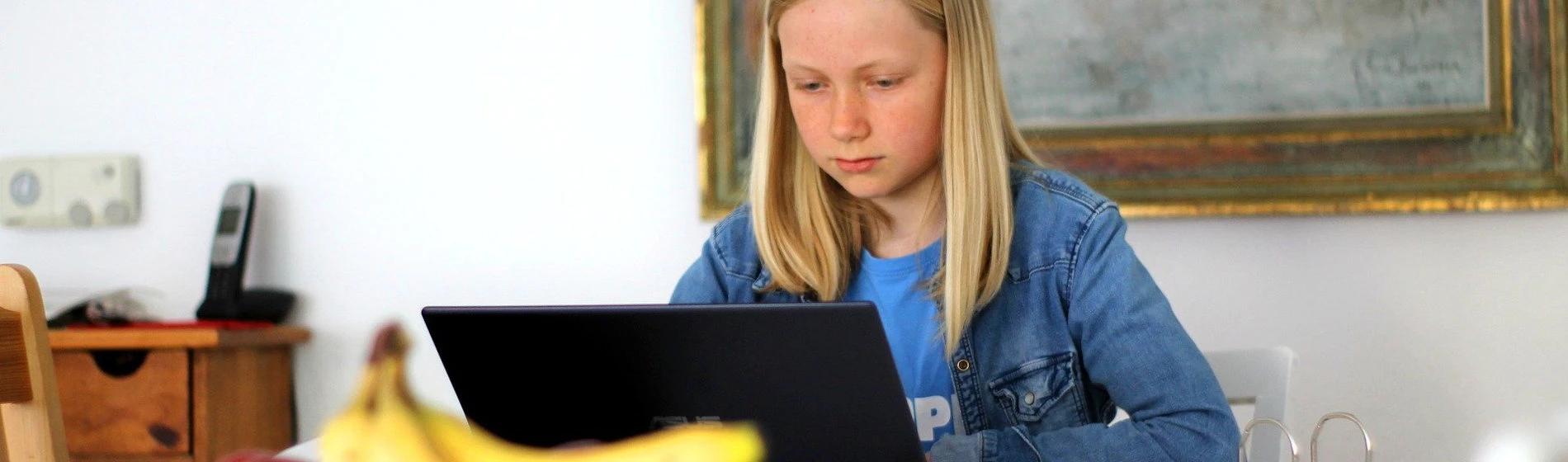 Online nastava