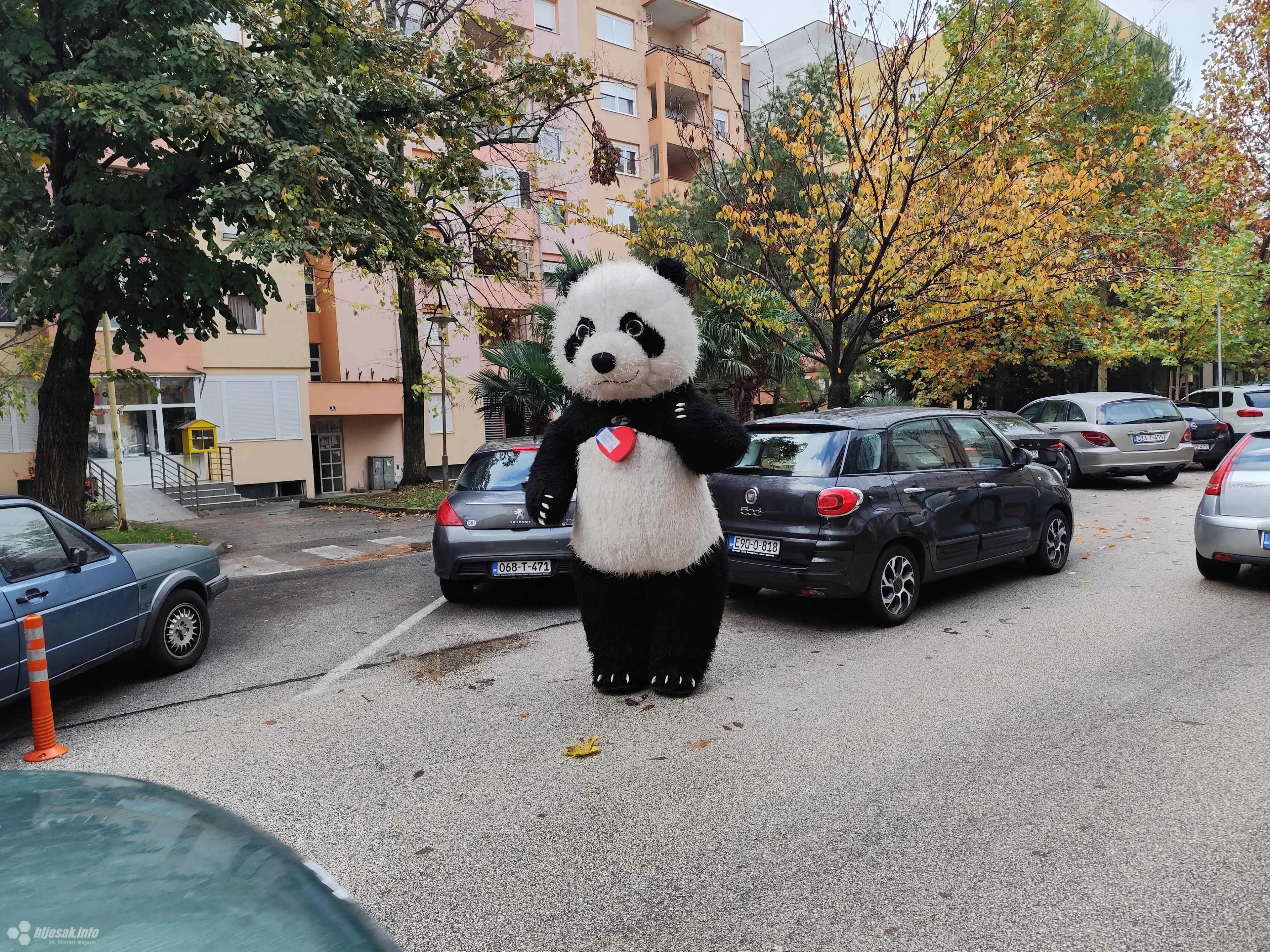 Velika panda prošetala Mostarom