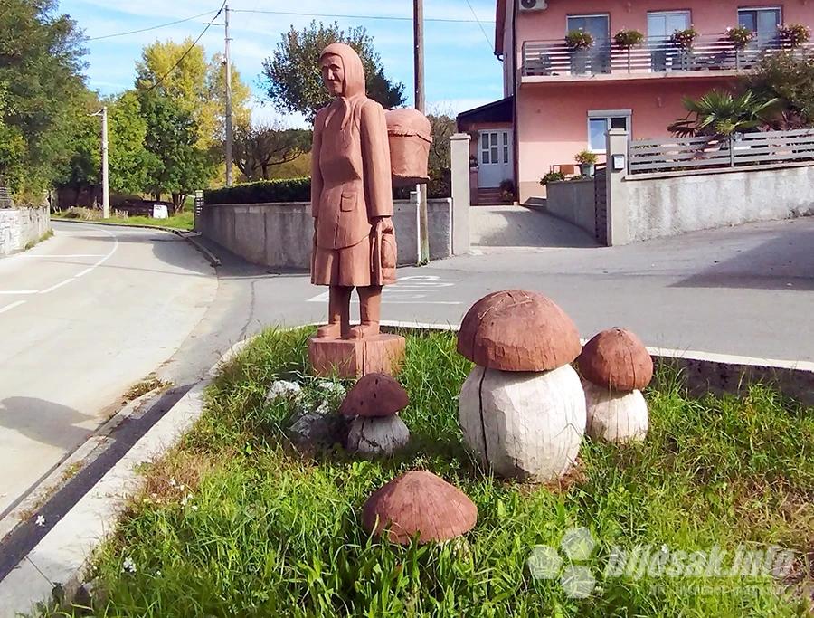 Što ona nosi, ne znam, ali vrganje znam